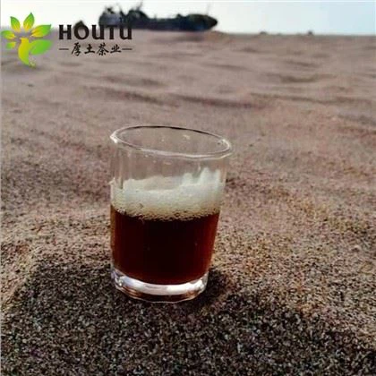 알제리 춘미 41022 사막용 차