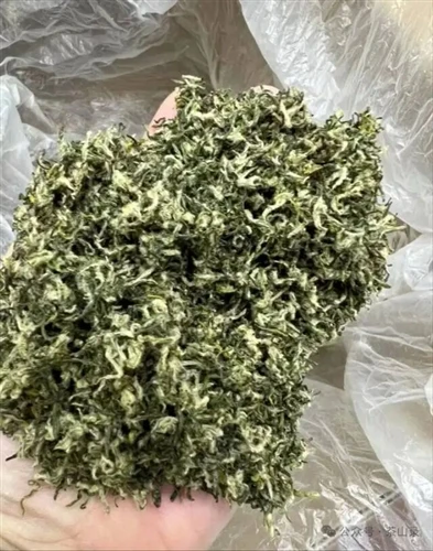 벽라춘은 왜 곱슬인가?