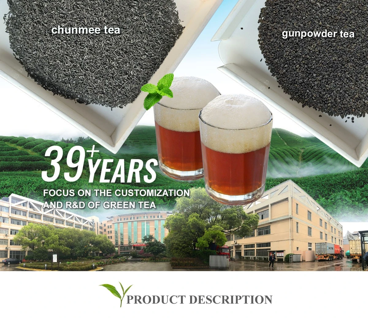 hoututea factory since 1987 export green tea hoututea factory since 1987 export green tea